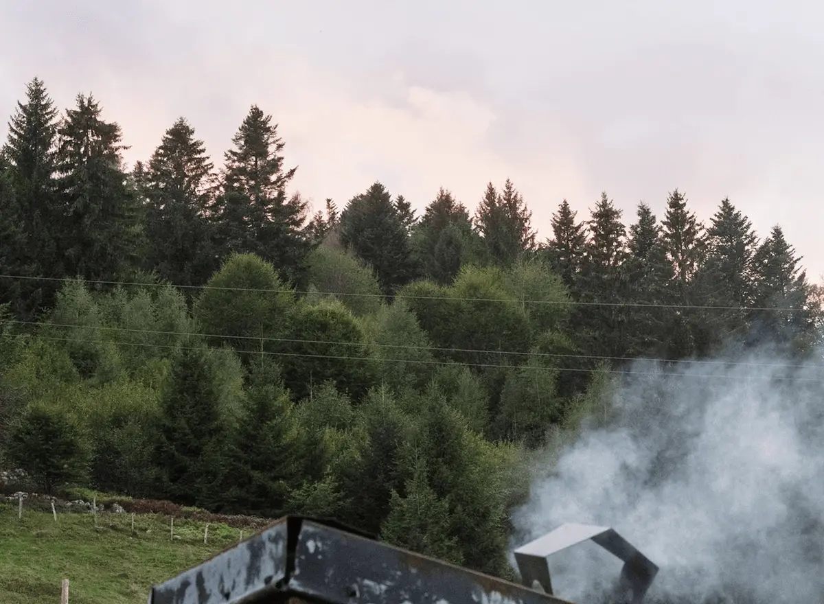 Fir forest above the house, smoke rising from the chimney